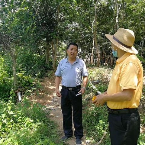 崖州区海洋水务局落实生态环保督察工作开展鸭仔塘污水调研