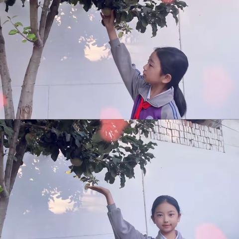 任丘市西环路白塔小学第三届苹果节项目式学习成果展示——五年级（7）班玩转苹果节