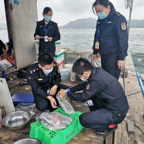 陵水县综合行政执法局对鱼排养殖鱼进行监督抽样