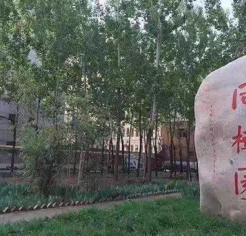 【停课不停学】银滩路小学二年级第一周学习总结