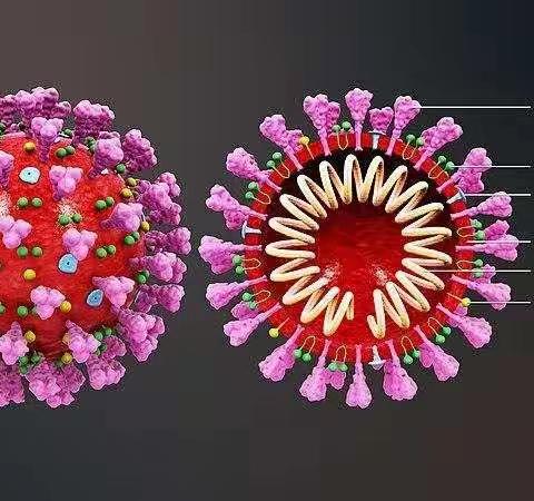 儿童如何防护新型冠状病毒感染