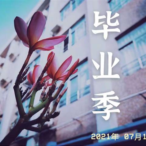 紫薇花开，前程似锦 --记2021届历史二班毕业典礼剪影