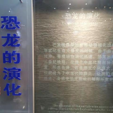 2023.7.29国家自然博物馆(一)