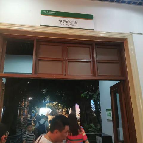 国家自然博物馆——非洲展厅（三）