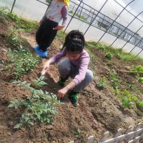 2023.4.9每日总结