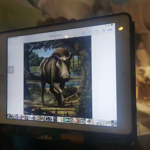 国家自然博物馆(二）