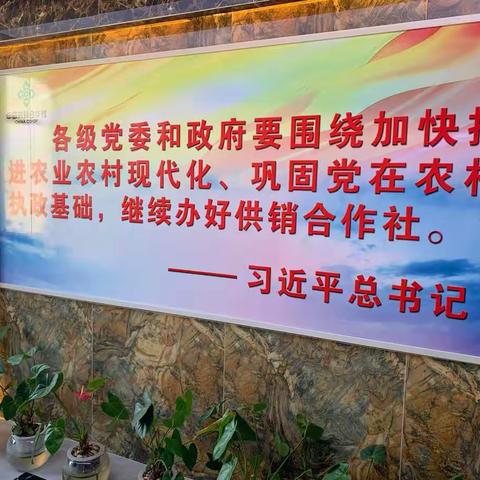 祥云供销2020年剪影