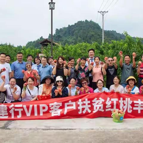 “桃”醉六月，铜梁建行邀你“香”约树荫村扶贫红桃丰收季