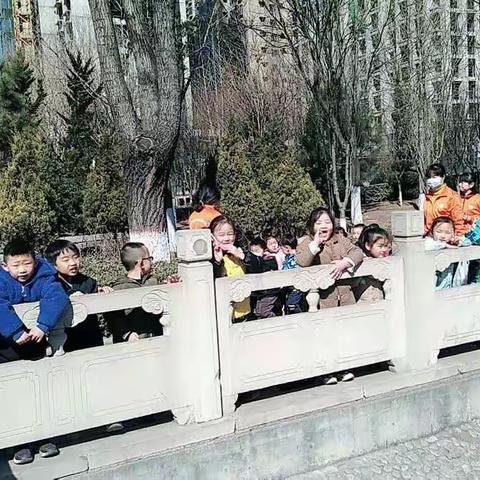 潞城区颐龙湾幼儿园蕾蕾班记录下学期第三周