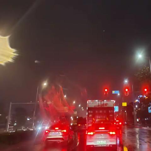 风雨夜归人