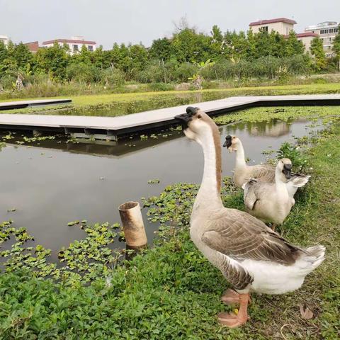 大自然的礼物——寒冬温泉