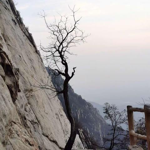 天净沙•嵩山（副本）