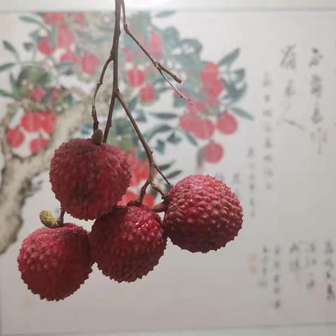 三伏无愁（粤语）