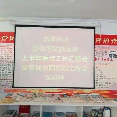 北疆林场贯彻落实林业局上半年重点工作汇报会暨区域协同发展工作会议精神