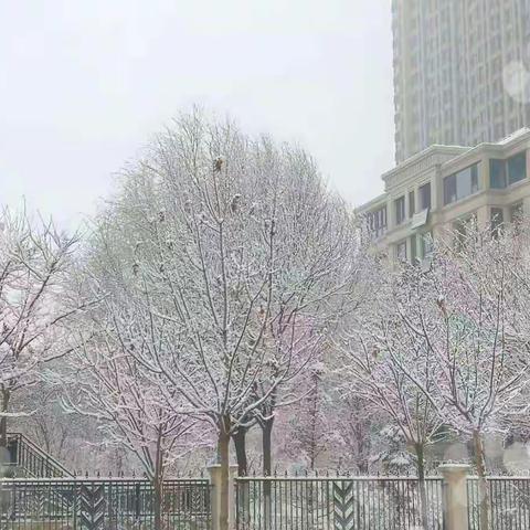 初雪与童心的美好相遇