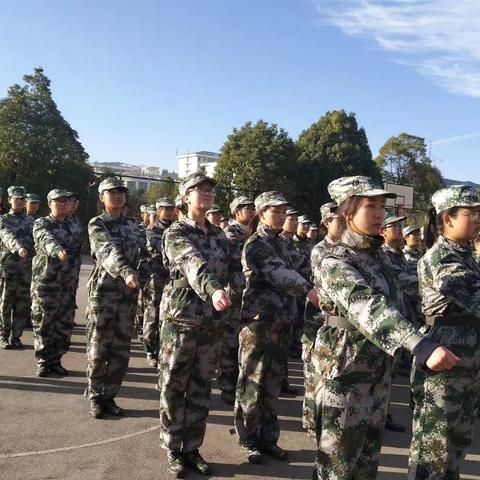 烈日朝阳下的挺拔身姿