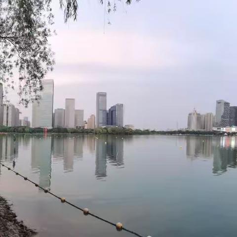 打卡合肥—天鹅湖畔