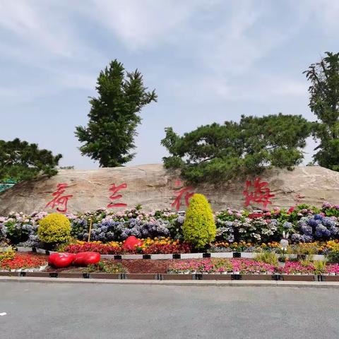 皖苏鲁you记  盐城篇（二）：大丰花之海与大枞湖的荡