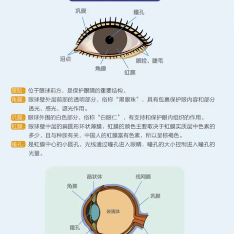 家园携手铸就“睛”彩人生——爱眼护眼倡议书