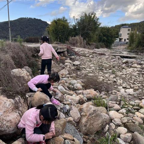 《快乐3+1》（一）羊群效应