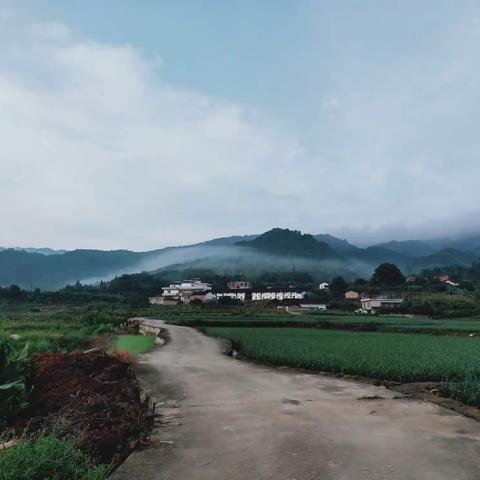 父母的爱让我感到温暖