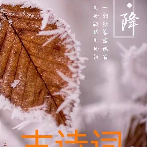 霜降至，冬之始——檀营蓝天幼儿园小三班