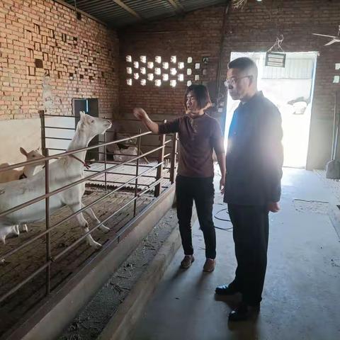 区农业农村局组织开展春季动物疫病防控指导服务