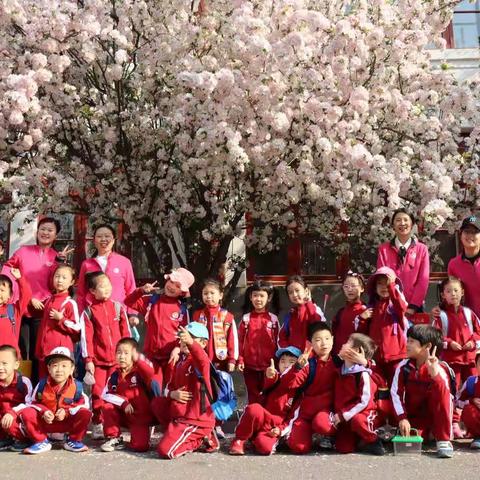 燕园春光，观鸟捕虫——记蔚秀园大二班春游