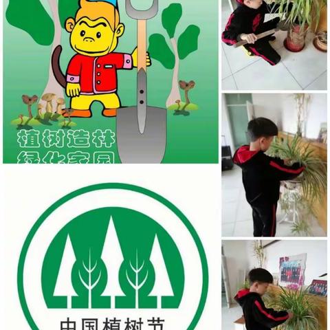 蠡县第三实验小学三年级二班实践活动—抗疫情  护新绿