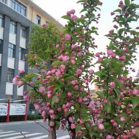 【风云跃纸上 笔下也生花】——一周硬笔书写总结