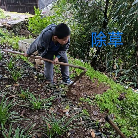 2023.3.12植树节#种下一棵棵树，种下一个个希望