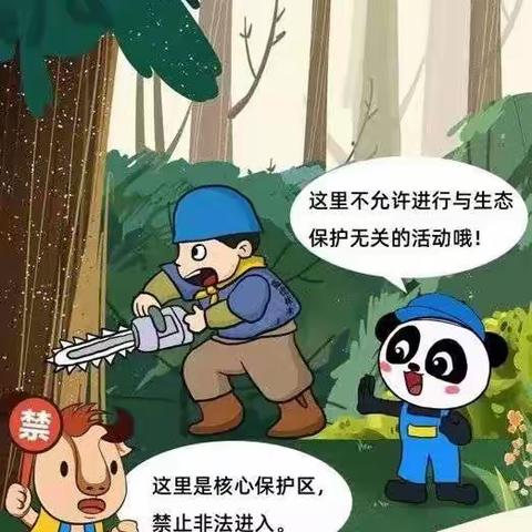 【浐灞教育·博达小学】——牢记国之大者，当好秦岭生态卫士