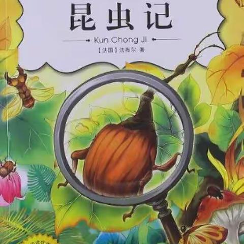 神奇的昆虫王国