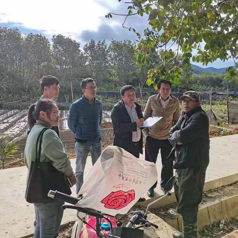 五指山市农业农村局开展2020年年度乡镇畜牧站绩效考核工作暨畜禽防寒御寒技术指导——番阳站