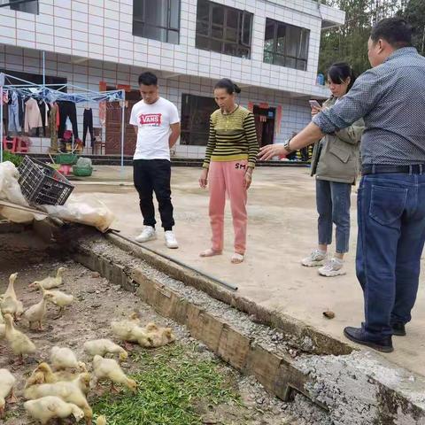 五指山市动物疫病预防控制中心下乡进行畜禽养殖技术指导工作