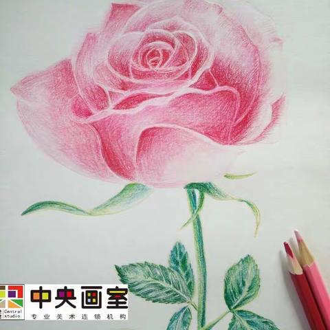 中央画室“艺”起抗疫--素描班