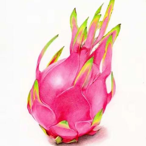 中央画室“艺”起抗疫——素描班