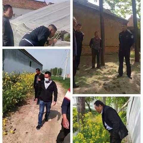 齐心清罂粟 合力灭毒源