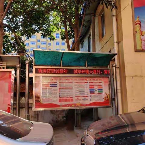 罗星村“城市环境大提升，清清爽爽过新年”专项行动工作