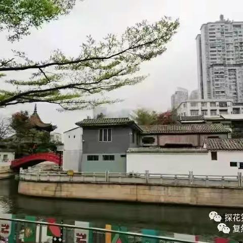 泰华楼门下八人书画联展