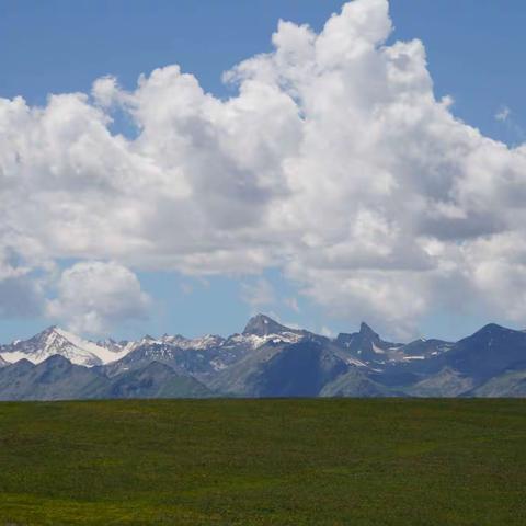 往独库公路上大草原