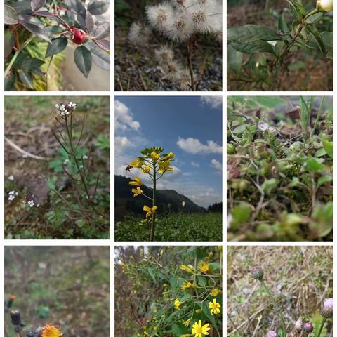 停课不停学 我们共成长