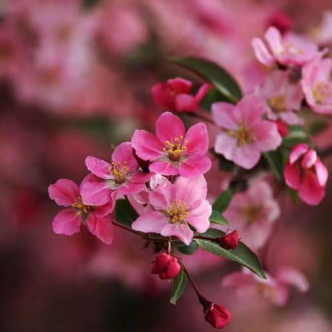 春风拂教育 花苞沐阳光