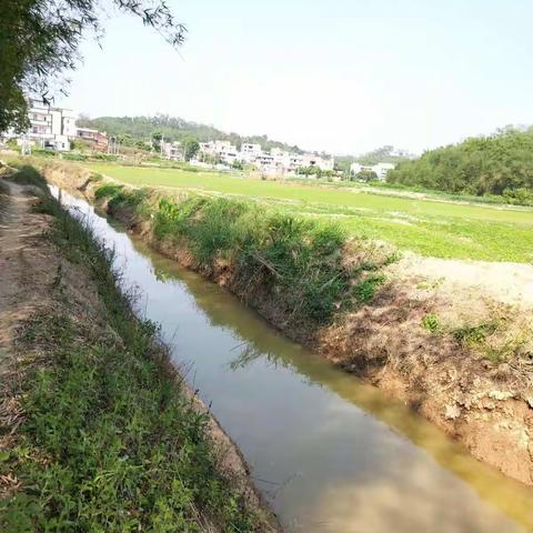 那务六村筹备“外嫁女集体回娘家”活动