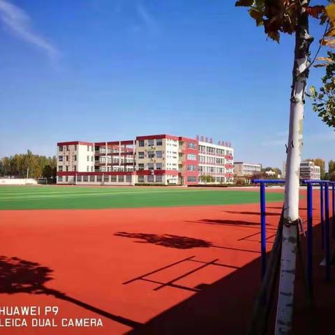 八年级上学期工作总结