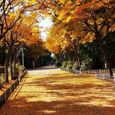 福州第二十一中学初二年段家长会