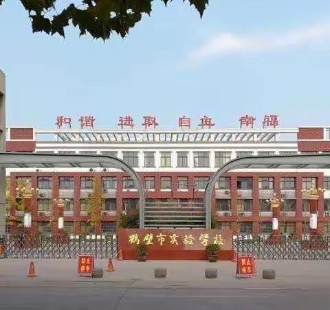 疫情当前，初心不变；线上教学，风采依旧——鹤壁市实验学校八年级线上教学纪实