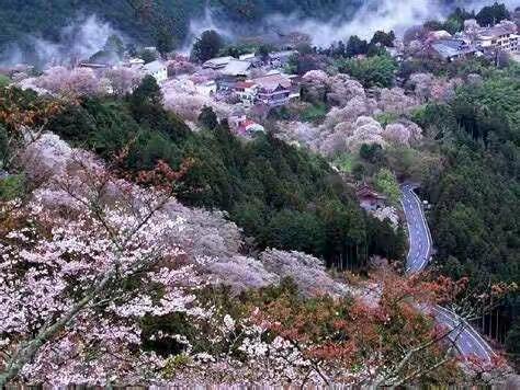 南溪中心幼儿园小班组居家生活和保教指导第50期