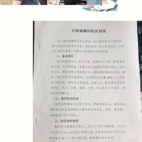 以迅应汛闻令动，道是无晴却有情 ——临颍县台陈镇防汛排涝纪实