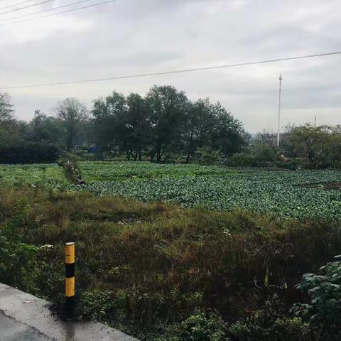 治脏乱，清田园，强攻坚